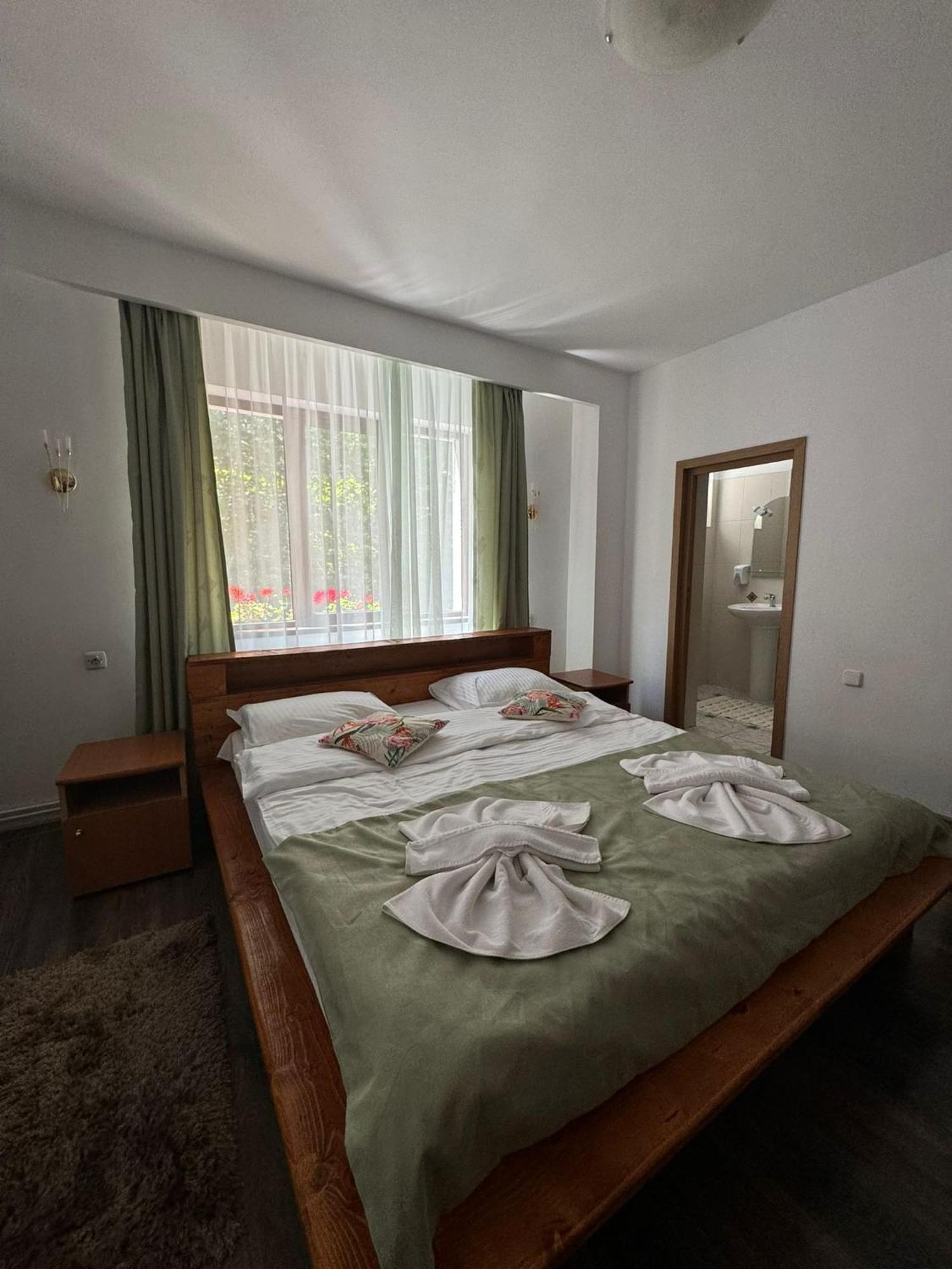 Hotel Bucura Sinaia Extérieur photo